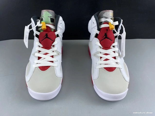 Rep Air CT8529-062 Hare 6 Jordan 0524